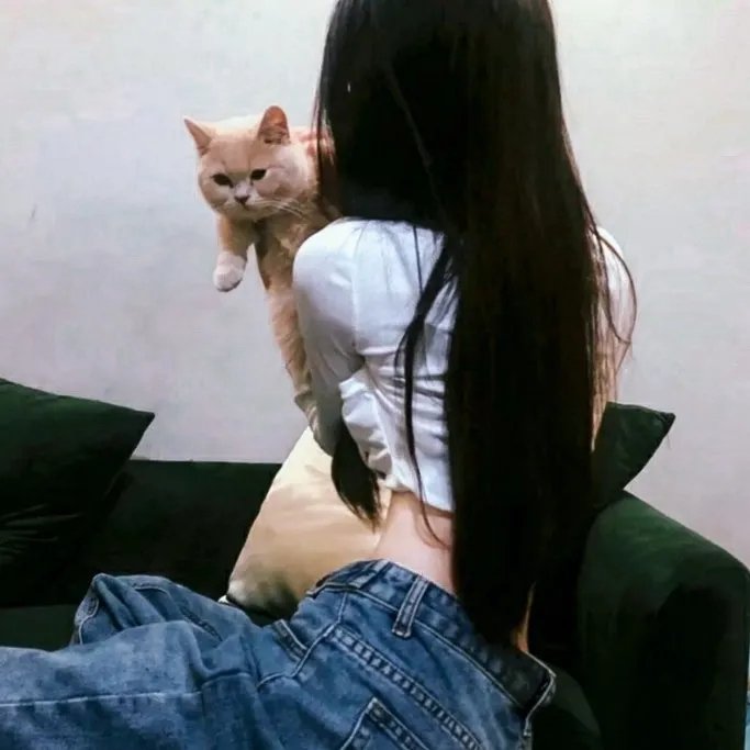 轮椅上的竞技